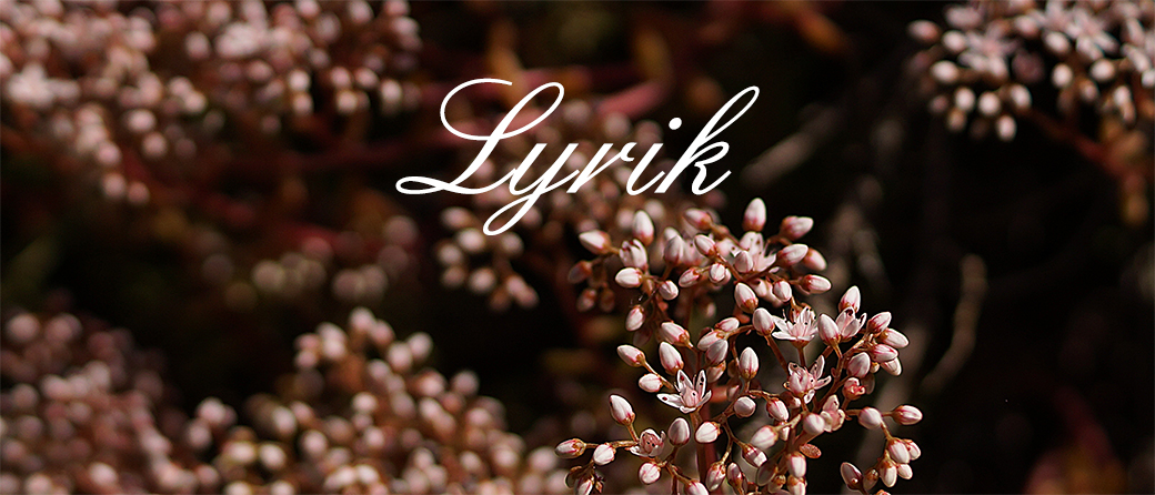 Header Lyrik